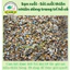 ( .. Sạn Suối - Sỏi suối thiên nhiên Trải Nền Trang Trí Bể Cá Thuỷ Sinh, Bán Cạn, BIOTOP . )