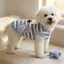 【Ready Stock】 Spring and Summer New Pet Dog Clothes Spring and Summer Small Dog Cat Anti-Lint Outdoor Traction Anti-Dirty Clothes rSxv