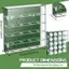 Kệ trưng bày bóng golf trong suốt acrylic - Trang trí phòng khách và văn phòng