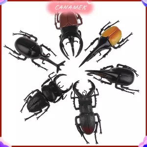 CANAMEK Mô phỏng bọ cánh cứng đồ chơi mô hình đặc biệt giống như thật đồ chơi côn trùng hỗ trợ giảng trò đùa CSF