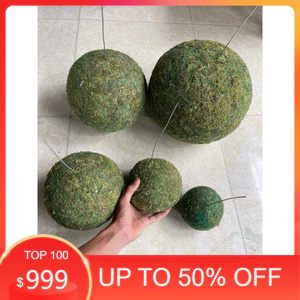 ( .. Bóng cầu rêu kokedama decor không gian, loại đặc . )