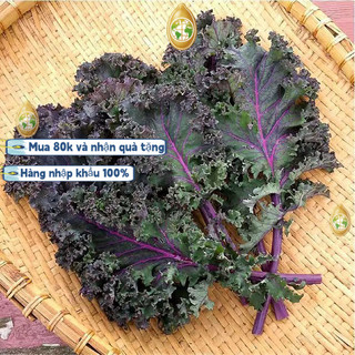 Hạt Giống Cải Kale Xoăn Tím Mỹ F1 Lâu Năm Chất Lượng Cao.Bao bì gốc: 100 hạt giống，k022