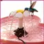 Đài phun nước tắm chim Trang trí chạy bằng năng lượng mặt trời Feeder Trang trí sân vườn Đài phun nước tắm chim cho sân sau Bãi cỏ shopidaevn