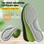 PlumHOUSE Giày Thể Thao Khử Mùi Mùa Hè Đế, Đế Hút Mồ Hôi Và Thoáng Khí VN