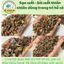 ( .. Sạn Suối - Sỏi suối thiên nhiên Trải Nền Trang Trí Bể Cá Thuỷ Sinh, Bán Cạn, BIOTOP . )