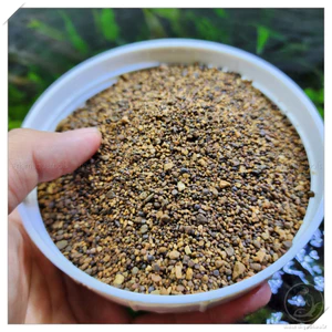 Sỏi Suối Nâu (túi 1kg) | Sỏi Trải Nền Trang Trí Cho Bể Cá Cảnh Thuỷ Sinh, Bể Nước Mặn ...