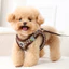 Dây Xích Chó Dây Xích Chó Nhỏ Dây Đeo Ngực Kẻ Sọc Dobamine Dây Xích Phản Quang Teddy Bichon Dây Xích Chó Pomeranian Chó Đi Bộ Dây Xích Áo Loại Đồ Dùng Đi Chơi Cho Thú Cưng