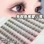 Phong Cách Mới Influencer Tự Dính Đuôi Cá Lười Lông Mi Giả Phân Đoạn Tự Nhiên Cụm Đơn Hàng Ngày Thích Hợp Cho Người Mới Bắt Đầu Mô Phỏng Lông Mi