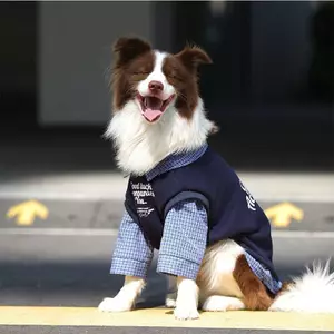 【Ready Stock】 Pet Dog Clothes Autumn and Winter Fleece-Lined Thickened Large Dog Golden Retriever Labrador Border Collie Clothes DwT8