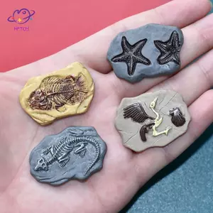 HFTOY 4 Mô Phỏng Mini Khủng Long Hóa thạch Mô Hình Nhà Búp Bê Micro Phong Cảnh Thu Nhỏ Đồ Thủ Công Trang Trí Nhà Búp Bê Đồ Chơi Trang Trí ~