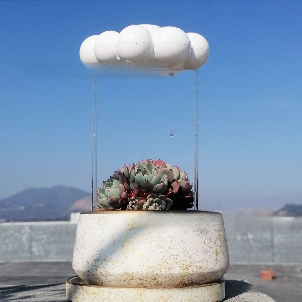 Sân Cây Trang Trí Sân Vườn Trang Trí Cây Tưới Cây Mưa Mây PlantWaterRainCloud12.17