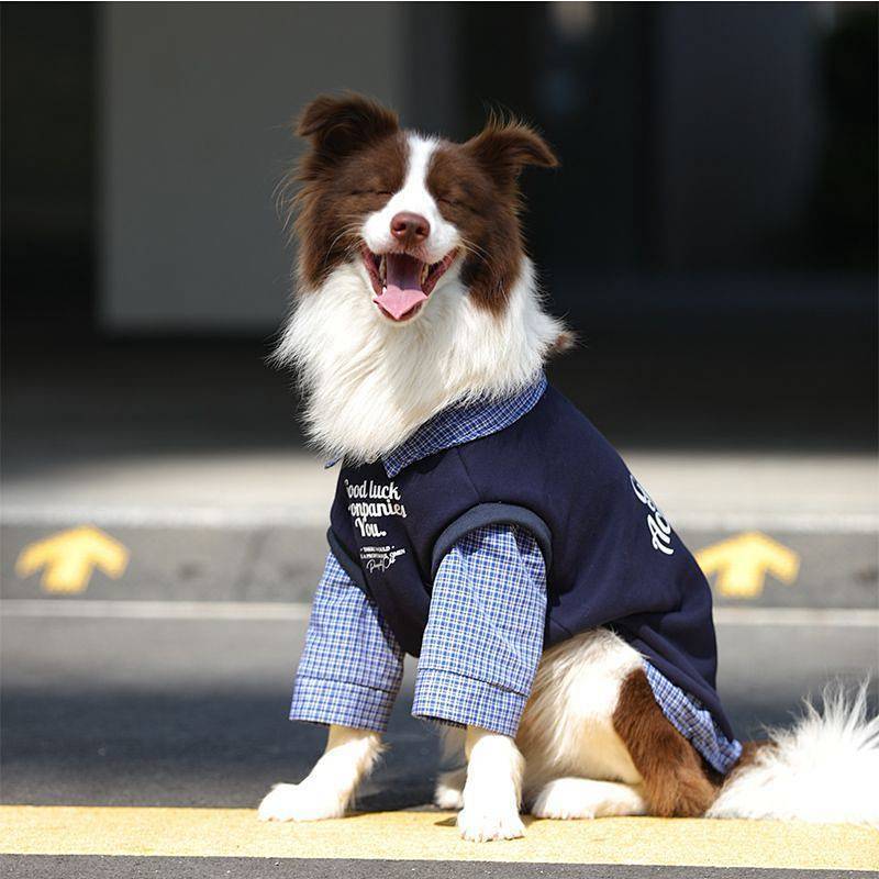 【Ready Stock】 Pet Dog Clothes Autumn and Winter Fleece-Lined Thickened Large Dog Golden Retriever Labrador Border Collie Clothes DwT8
