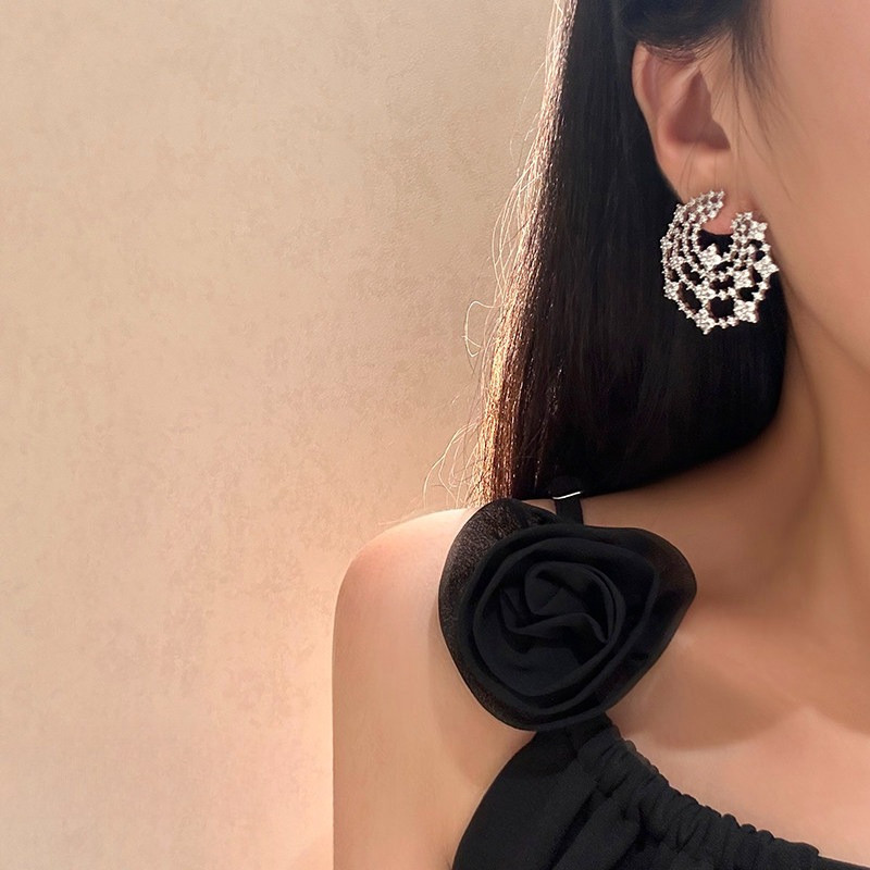 Bông tai Zircon tinh tế thời trang tua rua