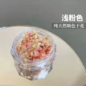 Monet Garden Hoa Khô Series Phụ Kiện Làm Móng Tay Hoa Nhiều Màu Sắc Làm Móng Miếng Dán Trang Trí Hoa Văn
