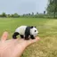Đồ chơi mô hình gấu trúc Sile của Đức Đồ trang trí đoàn tụ