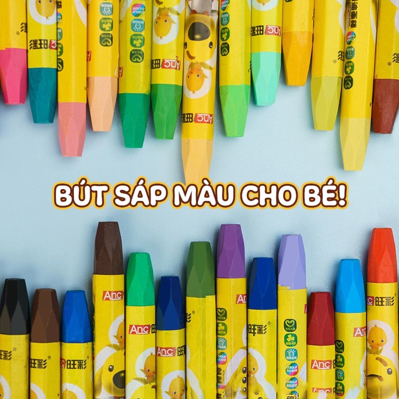 Bút Màu Sáp Dầu Học Sinh - Bộ 12/24/36 Màu Giá Rẻ, Chất Sáp Mịn, Không Dính Tay, An Toàn Cho Bé