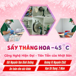 [TẶNG XE CHÒI] Combo 10 Túi Sữa Chua Sấy Khô Yobite Kids 20g - Hỗ Trợ Ăn Dặm, Tiêu Hóa Cho Bé 6M