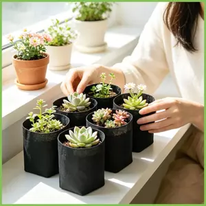 Túi trồng trọt 0,5 Gallon 50 miếng Vải không dệt dày Túi trồng cây di động cho trái cây Khoai tây Rau gelhvn
