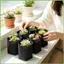Túi trồng trọt 0,5 Gallon 50 miếng Vải không dệt dày Túi trồng cây di động cho trái cây Khoai tây Rau gelhvn