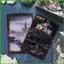 Thẻ Tarot Cho Người Mới Bắt Đầu Gothic Tarot Bói Toán Số Phận Thẻ Cho Gia Đình Đêm Kỳ Nghỉ Tập Hợp Lễ Hội Sự Kiện wipqsvn