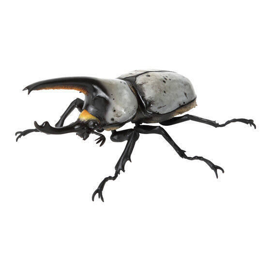 [BTF] Hàng có sẵn BANDAI Capsule Toy Sách minh họa sinh học 10 Beetle Big Pocket Worm Mô phỏng côn trùng Đồ trang trí WW4N