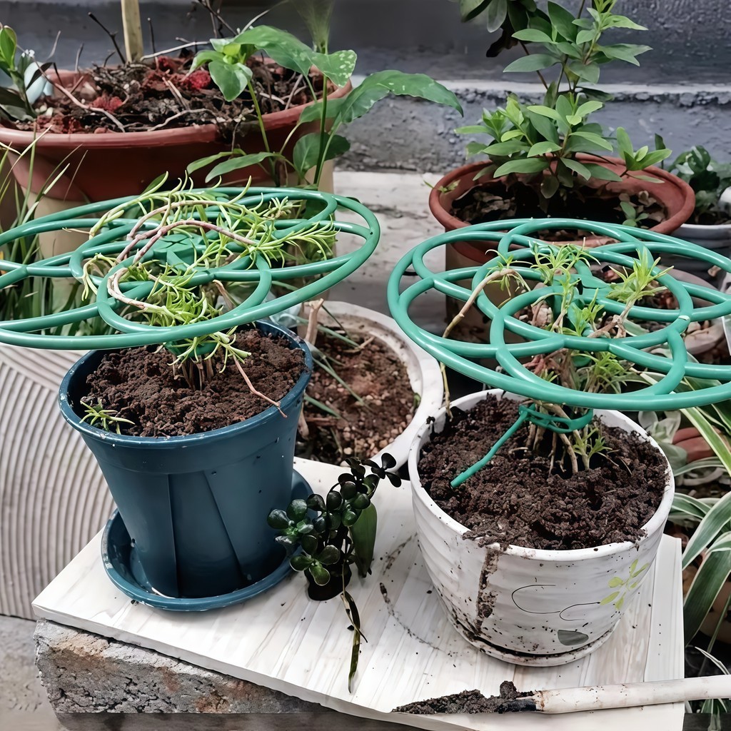 Khung Đỡ Tạo Hình Cây Hoa Mười Giờ Bằng Nhựa PVC Siêu Bền-Khung giá đỡ hoa mười giờ - FE123