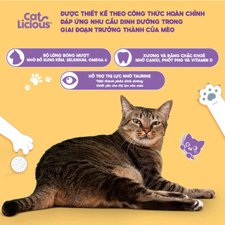 Thức ăn hạt cho mèo ( Combo 5kg ) Zoi Cat - Cat TA - Cat Licious dành cho mọi loại mèo trưởng thành
