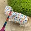 Corgi Chó Áo Mưa Đặc Biệt Cho Chó Áo Mưa Nhỏ Vừa Chó Schnauzer Shiba Inu Thú Cưng Ngày Mưa Quần Áo Chống Thấm Nước Bụng Túi