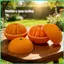 3D In Hình Trái Cây Cam quýt Hình Đồ Chơi Giảm Căng Thẳng Xoắn Trái Cây Fidget Bóng Dành Cho Học Sinh Nam Nữ Nghiên Cứu sonlekvn