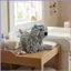 Khăn Cho Chó Chenille Dễ Thương Thấm Hút Mềm Trang Trí Giặt Tay Khô Puff Cho Nhà Bếp Phòng Tắm Tự Động Ngoại Thất mueadsyvn
