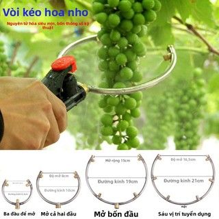 Loại mở Nho Bulking Fruit Vòng hoa tiện dụng Dụng cụ ngâm trái cây Thiết bị trái cây Kyoho Mùa hè Đen Túi màu đỏ Kích thích tình dục Số lượng lớn Vòi phun sương lớn 0R4F
