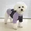 【Ready Stock】 Pet Striped Pet Dog Dog Rainbow Clothes Four Legs Bichon Small Home Dog Teddy Traction Cat ORXB