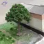 HFTOY 1 Cái DIY Cây Ăn Quả Thu Nhỏ Trang Trí Cảnh Quan Thu Nhỏ Cát Bàn Xây Dựng Mô Hình Thực Tế Trang Trí Cây Quả ~