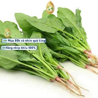 Bao bì gốc nhập khẩu - 600 Rau bina lá to - Hạt giống cải bó xôi nếp (rau bina, rau chân vịt)，k010