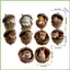 Giáng Sinh Động Vật Acorn Đồ Trang Trí 2D Acrylic Giáng Sinh Mặt Dây Chuyền Trang Trí 10 Miếng Mộc Mạc Động Vật Mặt Dây Chuyền Cho gelhvn