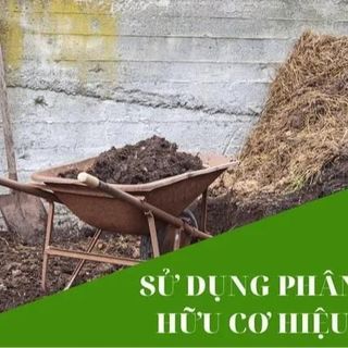 Phân trùn quế bón hoa, rau củ quả cực tốt và không bị sót cây, cây khoẻ - hàng công ty loại 1