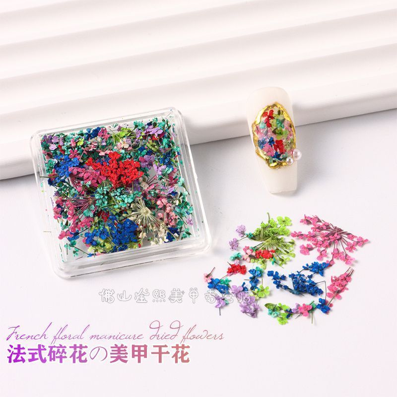 Nhật Bản Pháp Hoa Khô Phụ Kiện Làm Móng Tay Đầy Màu Sắc Nguyên Chất Tự Nhiên Hoa Nhỏ Cánh Hoa Khô Móng Tay