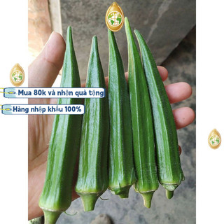 Hạt đậu bắp nhập khẩu từ Trung Quốc, khoảng 90 hạt/gói, giống lùn, năng suất cao, thích hợp trồng quanh năm, k008