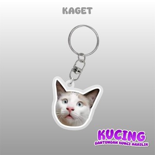 Meme Móc chìa khóa hình mèo Móc Chìa Khóa Acrylic vui nhộn Mèo mèo akmal