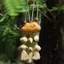 Bạo Lực Handmade Hạt Vỏ Chuông Xe Treo Túi Sản Xuất Trang Trí Ô Tô Chữa Bệnh Đám Mây Treo Nhỏ Phước Lành Quà Tặng 4.18