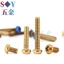 Chất liệu thép không gỉ 304 Đầu tròn bên trong Torx Vít chống trộm Đầu đĩa Bu lông Titan Xe máy Vít sửa đổi