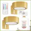 Tranh Pin Đèn Nghệ Thuật Điều Khiển Từ Xa Tranh Từ Tính Hiển Thị Đèn LED Hình Ảnh Với 13 Chế Độ gelhvn