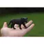 Đồ chơi mô hình động vật Sile Black Jaguar Black Panther Cheetah của Đức