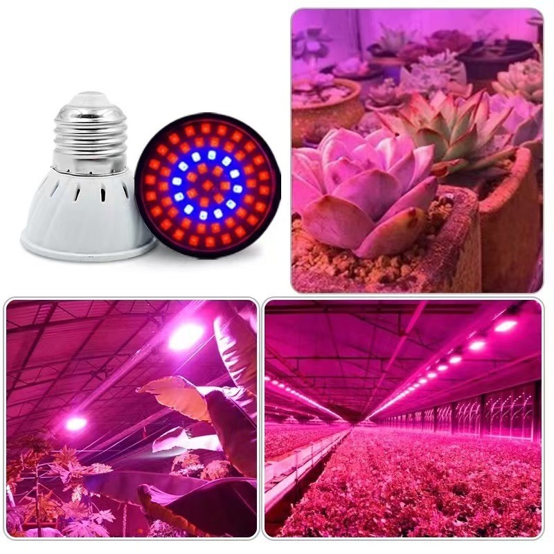 【COD】Đèn LED trồng cây E27 công suất tiết kiệm điện, lắp vào đui E27 dễ dàng, lý tưởng cho kệ trồng rau ban công.