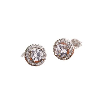 Châu Âu Mỹ ins Phong Cách Mới Tròn 1 Carat Zircon Bông Tai Cặp Đôi