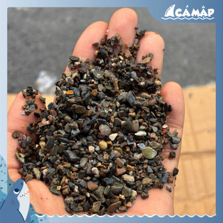 . Cát, Sỏi, Sạn Suối, Đá Cuội Trải Nền Hồ Cá Tép, Thuỷ Sinh Hồ Biotope, Hồ Bán Cạn | Cá Mập Aqua ,.