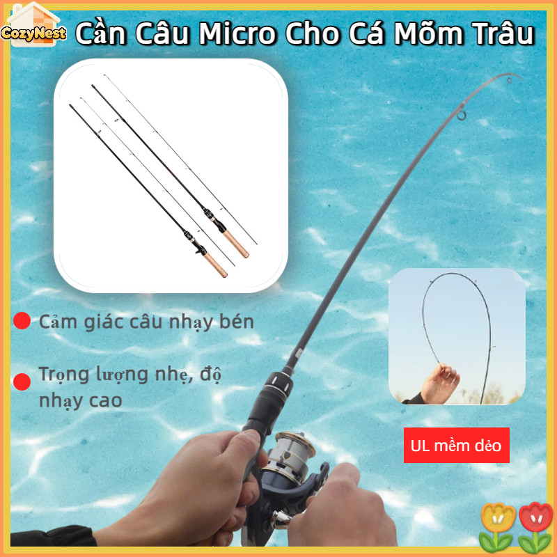 Cần Câu Lure Chống Xoắn Cao Cấp - Carbon Siêu Nhẹ Bền Bỉ - Thiết Kế Cân Bằng Cho Mọi Địa Hình Câu