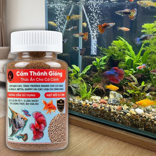 Thức Ăn Cao Cấp Cho Cá Cảnh - Cám Thánh Gióng Đạm Cao Viên Nổi Siêu Nhỏ - Cá Lớn Nhanh Thấy Rõ