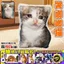 My Shield Gối Sang Trọng Búp Bê Trầy Xước Bibab Búp Bê Cuckoo Gaga Happy Cat Đồ Chơi Trẻ Em Hàng Hóa 4.15