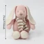 Búp bê thỏ dệt kim QEARY, Đồ chơi nhồi bông mềm mại phong cách Kawaii, Sinh nhật dài chân thủ công cỡ nhỏ Đồ chơi thỏ nhồi bông cho bé gái
